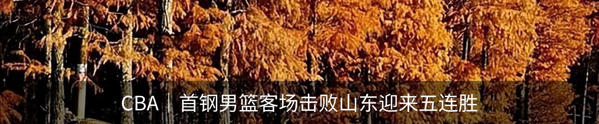 新闻中心